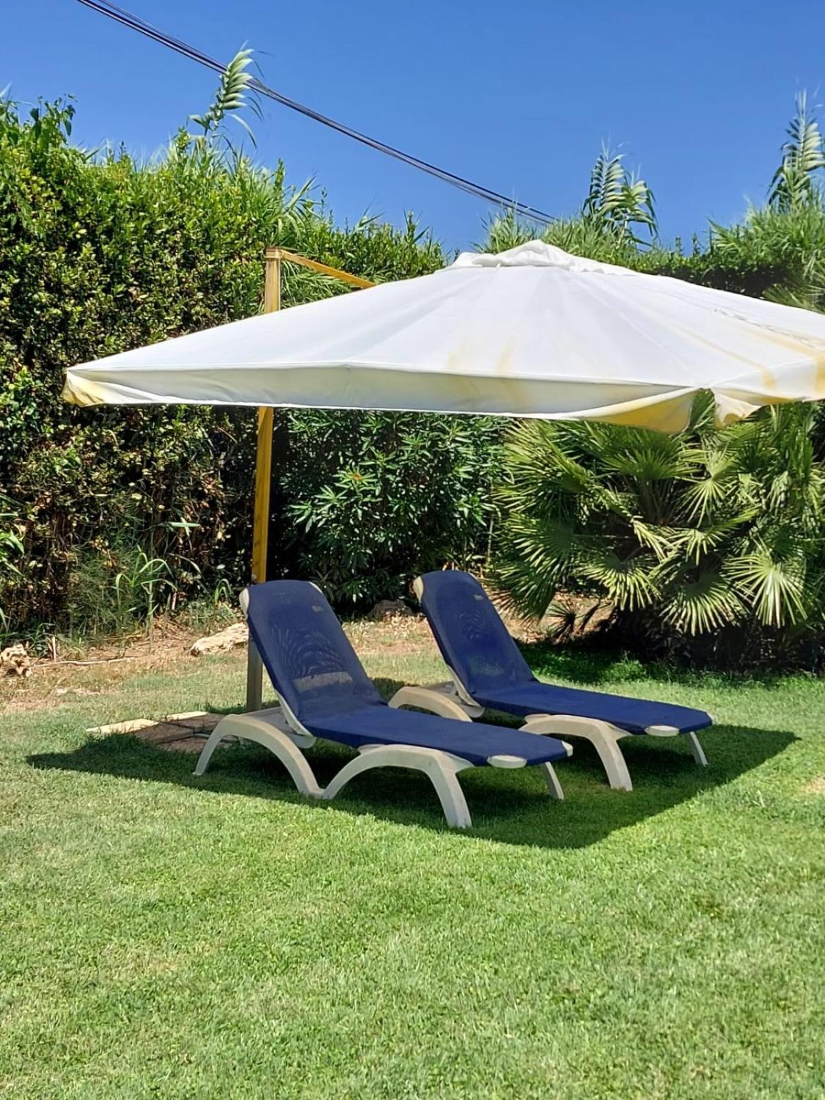 Modular King Suite - Intera Suite Vicino Aeroporto E Fiera Di Roma Fiumicino Exteriör bild
